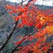 20071125_yamaguchitrip_16